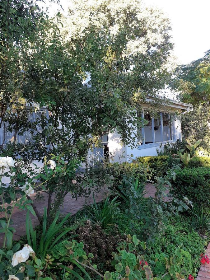 Driftwood Boutique Bed And Breakfast Lobatse Exteriör bild